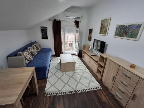 Izdavanje, garsonjera, 25m², Preko Morače, Podgorica - image 3