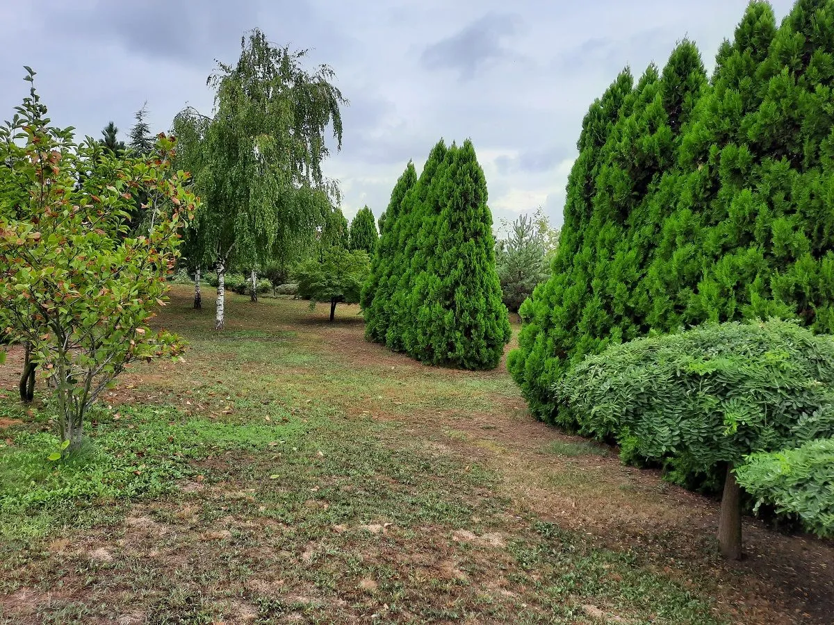 Prodaja, kuća, 350m², Bežanijska Kosa Sve Podlokacije, Beograd