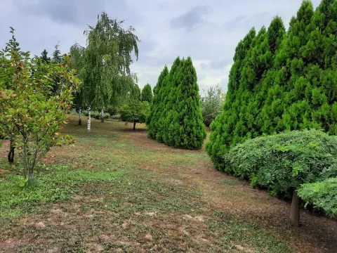 Sale, house, 350m², Bežanijska Kosa Sve Podlokacije, Beograd - image 6