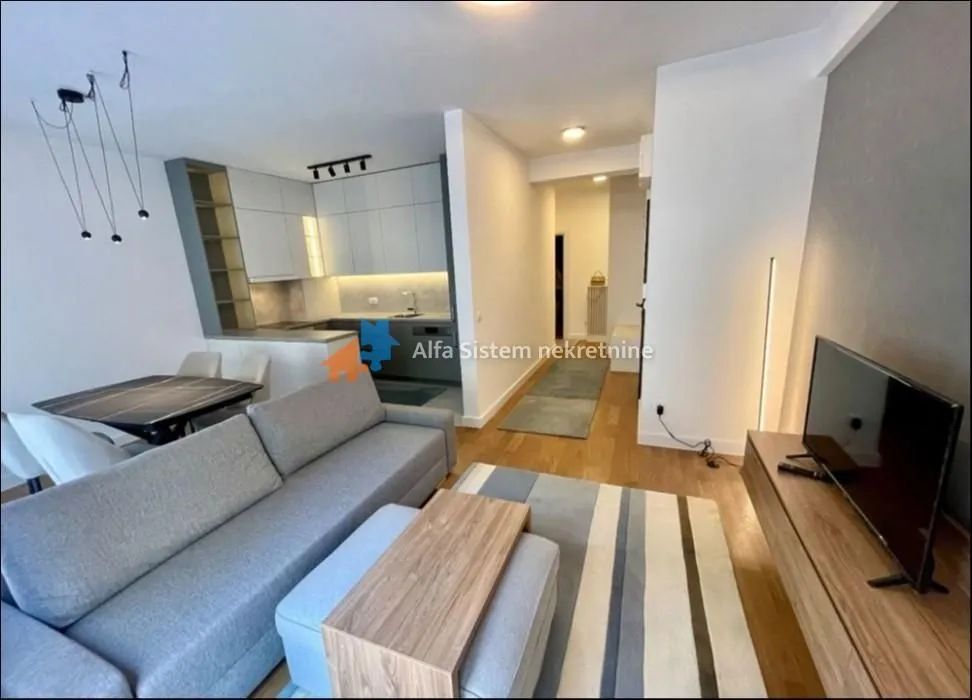 Izdavanje, dvosoban stan, 60m², Vračar Sve Podlokacije, Beograd