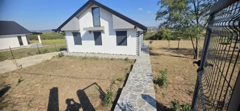 Eksterijer moderne kuće sa uređenim dvorištem i popločanom stazom. - image 3