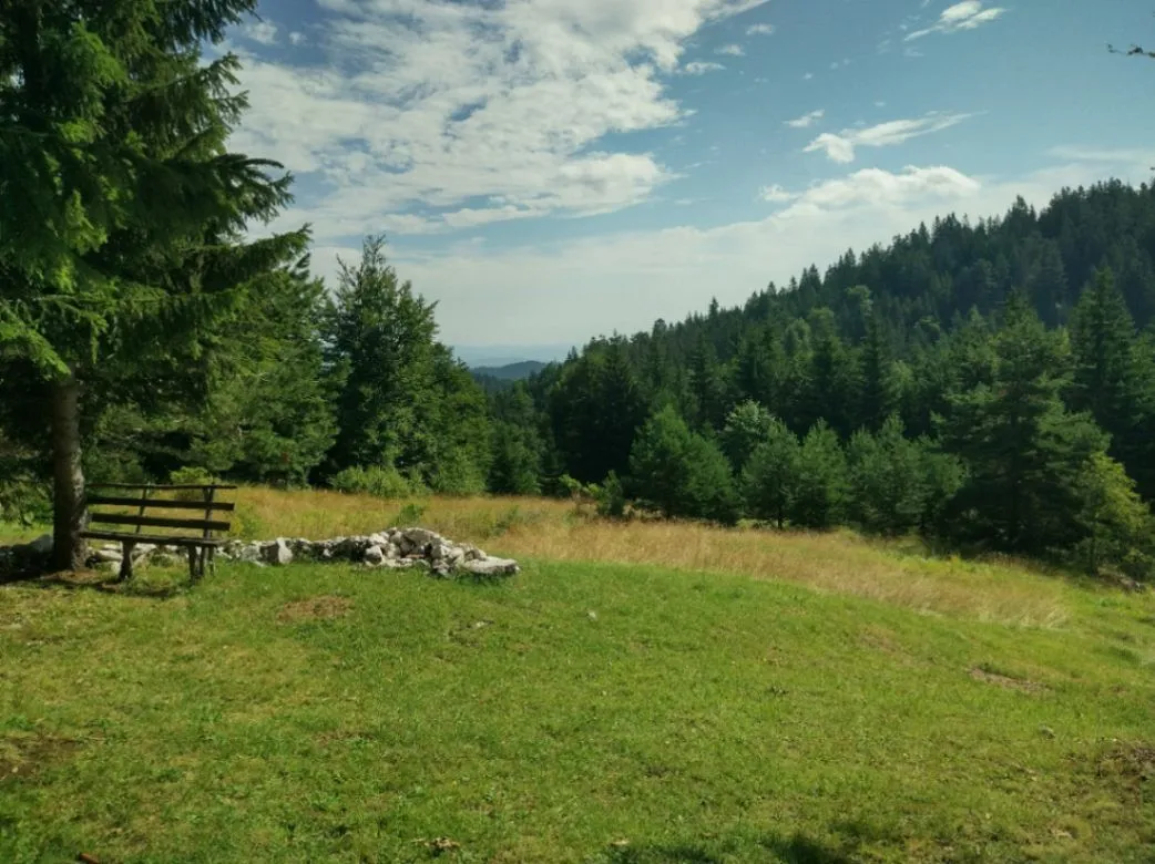 Prodaja, plac, 7000m², Tara, Srbija