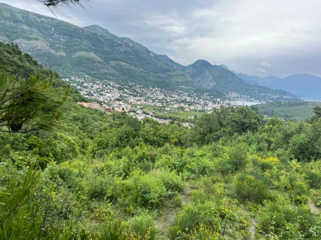 Prodaja, plac, 1690m², Zagrad, Berane