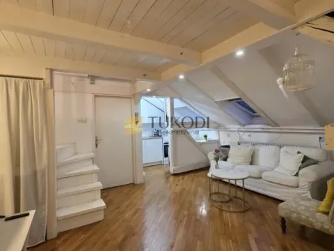 Rent, one bedroom apartment, 45m², Botanička Bašta, Palilula Sve Podlokacije - image 3