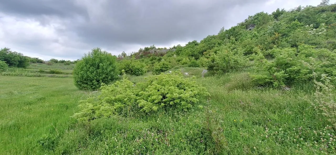 Prodaja, plac, 12650m², Gorica C, Podgorica