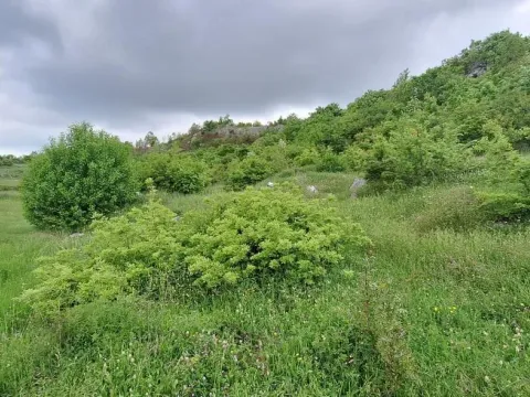 Prodaja, plac, 12650m², Gorica C, Podgorica - image 3