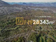 Sale, land lot, 28343m², Kokoti, Podgorica - image 4