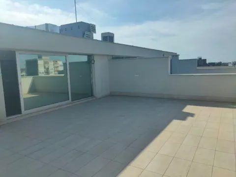 Izdavanje, poslovni prostor, 394m², Novi Sad Sve Podlokacije, Novi Sad - image 2