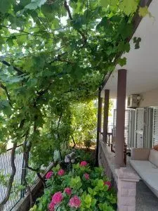Sale, house, 170m², Sutomore, Bar
