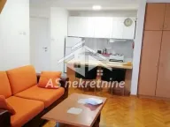 Izdavanje, stan, 65m², Botanička Bašta, Palilula Sve Podlokacije - image 5