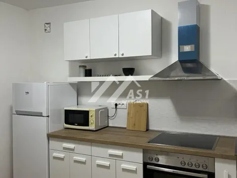 Izdavanje, dvosoban stan, 43m², Detelinara, Novi Sad Sve Podlokacije - image 3