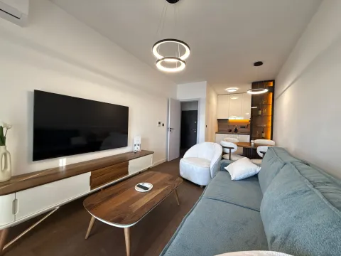 Rent, one bedroom apartment, 55m², Donja Lastva, Tivat - image 3