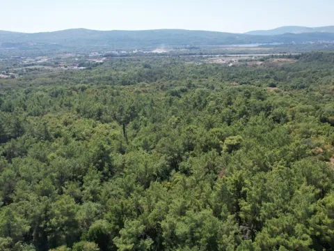 Sale, land lot, 7700m², Kavač, Kotor - image 25