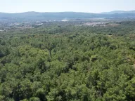 Sale, land lot, 7700m², Kavač, Kotor - image 25