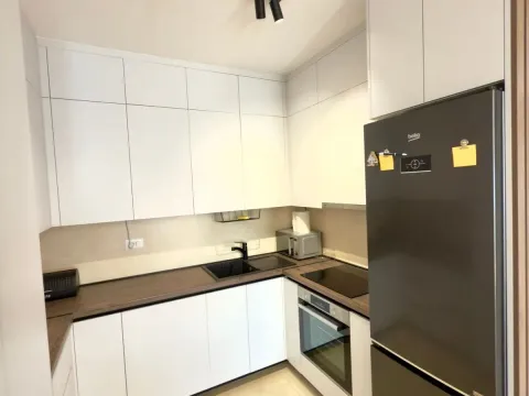 Rent, one bedroom apartment, 48m², Zabjelo, Podgorica - image 2