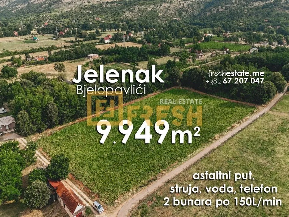 Prodaja, plac, 9949m², Danilovgrad, Crna Gora