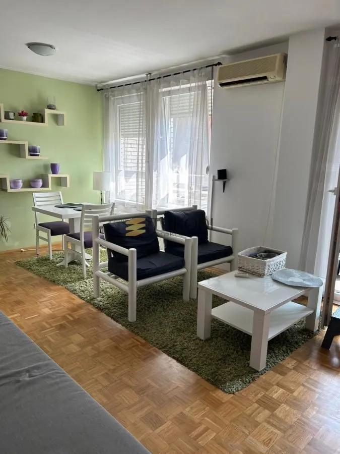 Izdavanje, jednosoban stan, 42m², Vračar Sve Podlokacije, Beograd
