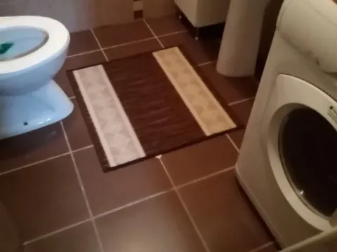 Izdavanje, dvosoban stan, 45m², Krnjaca, Palilula Sve Podlokacije - image 4