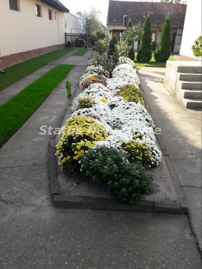 Prodaja, kuća, 170m², Bela Palanka, Srbija