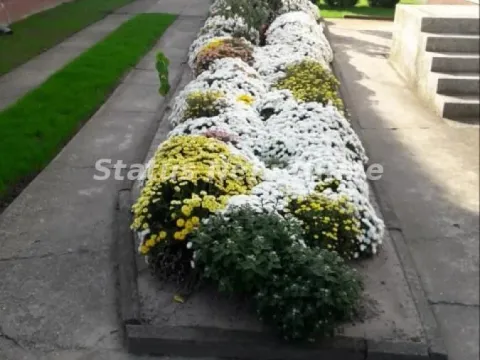 Sale, house, 170m², Bela Palanka, Srbija - image 9