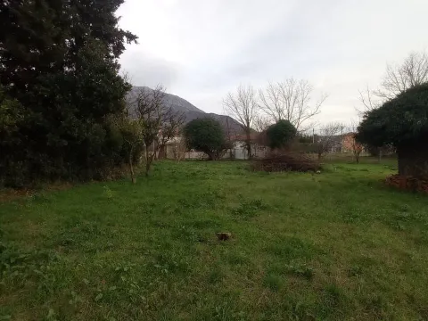 Prodaja, plac, 2460m², Polje, Bar - image 4