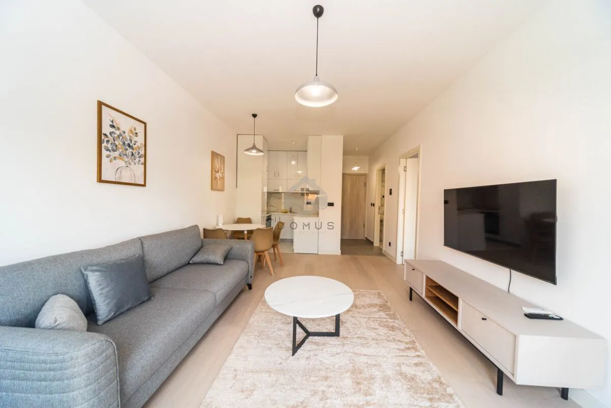 Izdavanje, jednosoban stan, 50m², Kruševac, Podgorica