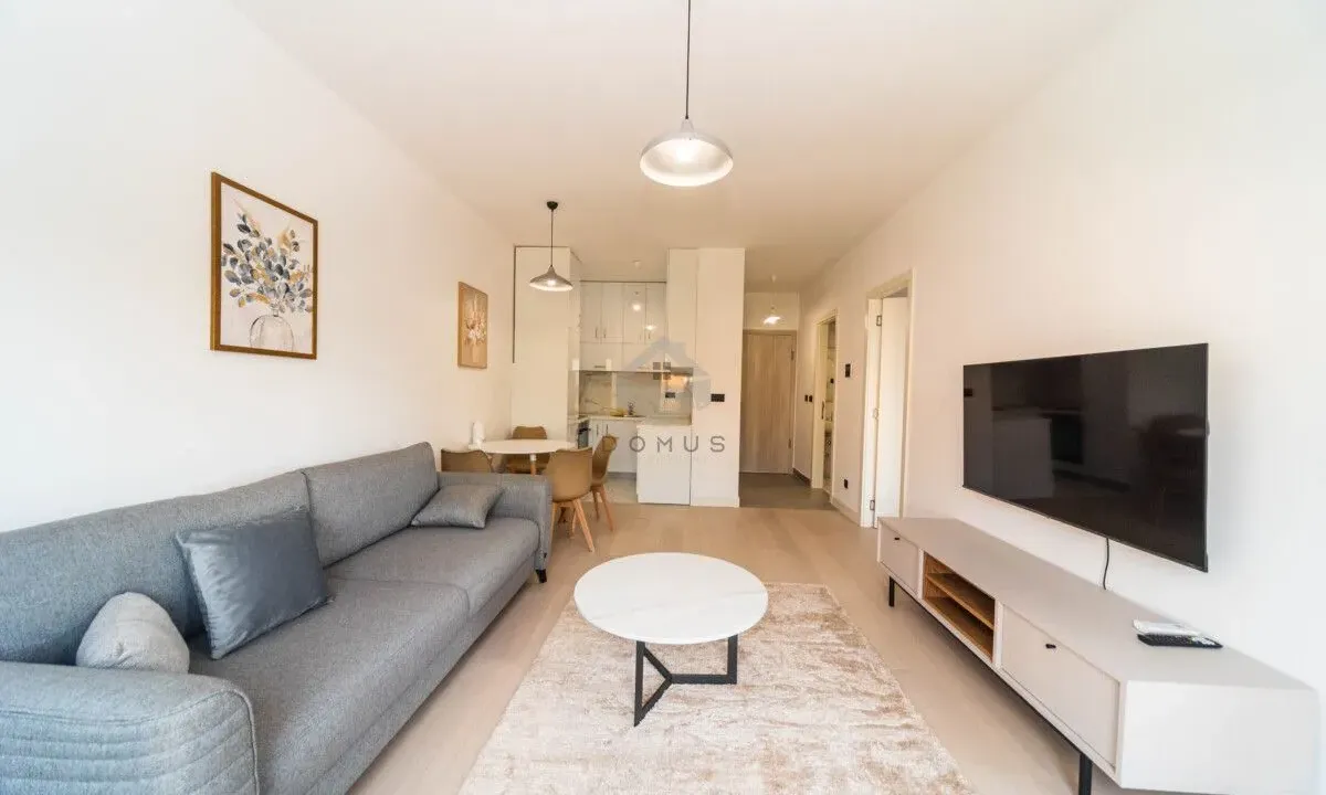 Izdavanje, jednosoban stan, 50m², Kruševac, Podgorica