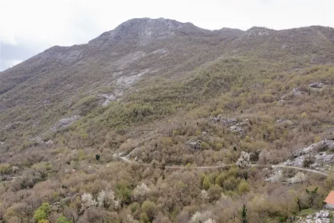 Pogled na planinski pejzaž i okolnu prirodu. - image 5