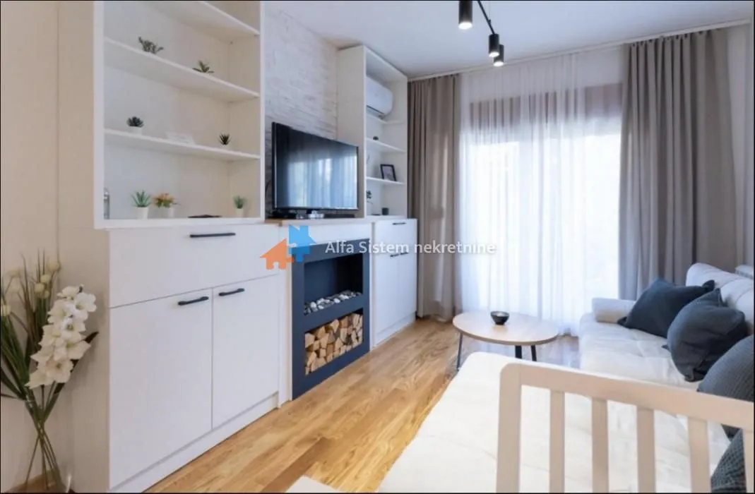 Rent, two bedroom apartment, 43m², Južni Bulevar, Vračar Sve Podlokacije