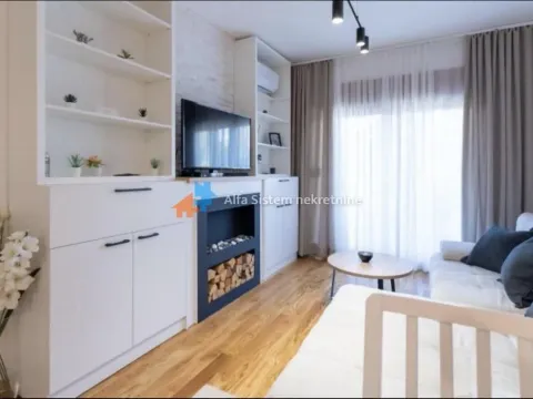 Rent, two bedroom apartment, 43m², Južni Bulevar, Vračar Sve Podlokacije - image 4