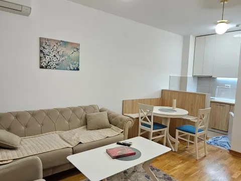Izdavanje, jednosoban stan, 45m², City Kej, Podgorica - image 6