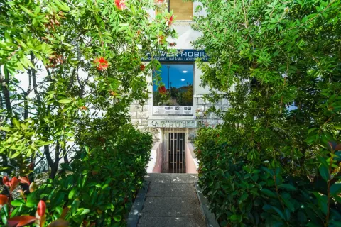 Entrance to a commercial space surrounded by lush greenery and trees. - image 3
