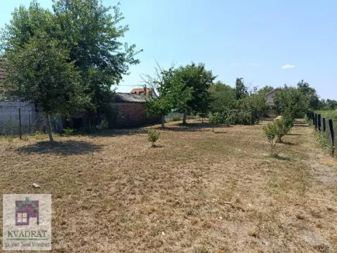 Prostrano dvorište sa voćnjakom i pomoćnim objektom u pozadini. - image 5