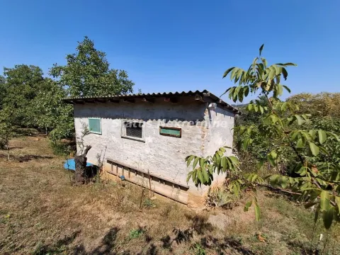 Prodaja, kuća, 30m², Ledinci, Petrovaradin - image 28