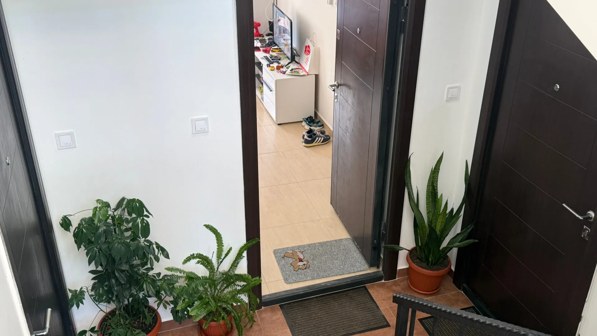 Izdavanje, garsonjera, 27m², Igalo, Herceg Novi