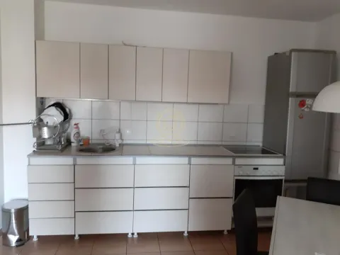 Izdavanje, jednosoban stan, 45m², Grbavica, Novi Sad Sve Podlokacije - image 4