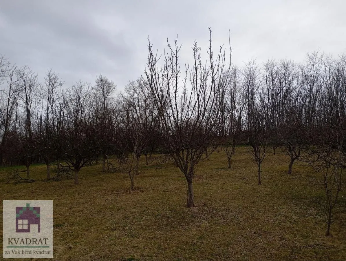 Sale, land lot, 8600m², Konatice, Obrenovac