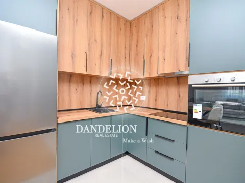 Izdavanje, jednosoban stan, 47m², Stari Aerodrom, Podgorica - image 9