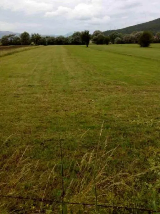 Prodaja, plac, 3000m², Glibavac, Nikšić