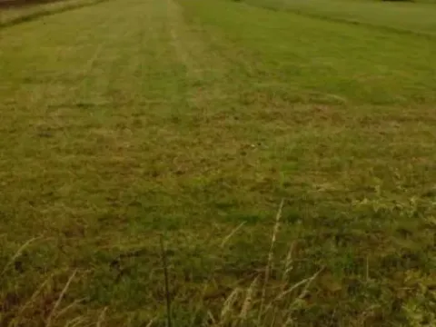 Prodaja, plac, 3000m², Glibavac, Nikšić - image 2