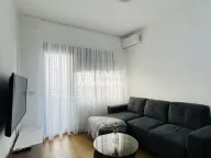 Izdavanje, jednosoban stan, 45m², Novi Beograd Sve Podlokacije, Beograd - image 1