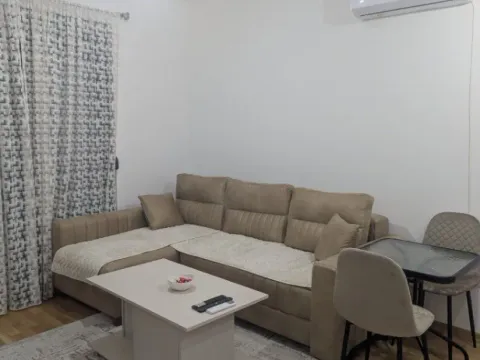 One Bedroom Apartment for Short Term Rental, 39m2, Zabjelo, Podgorica