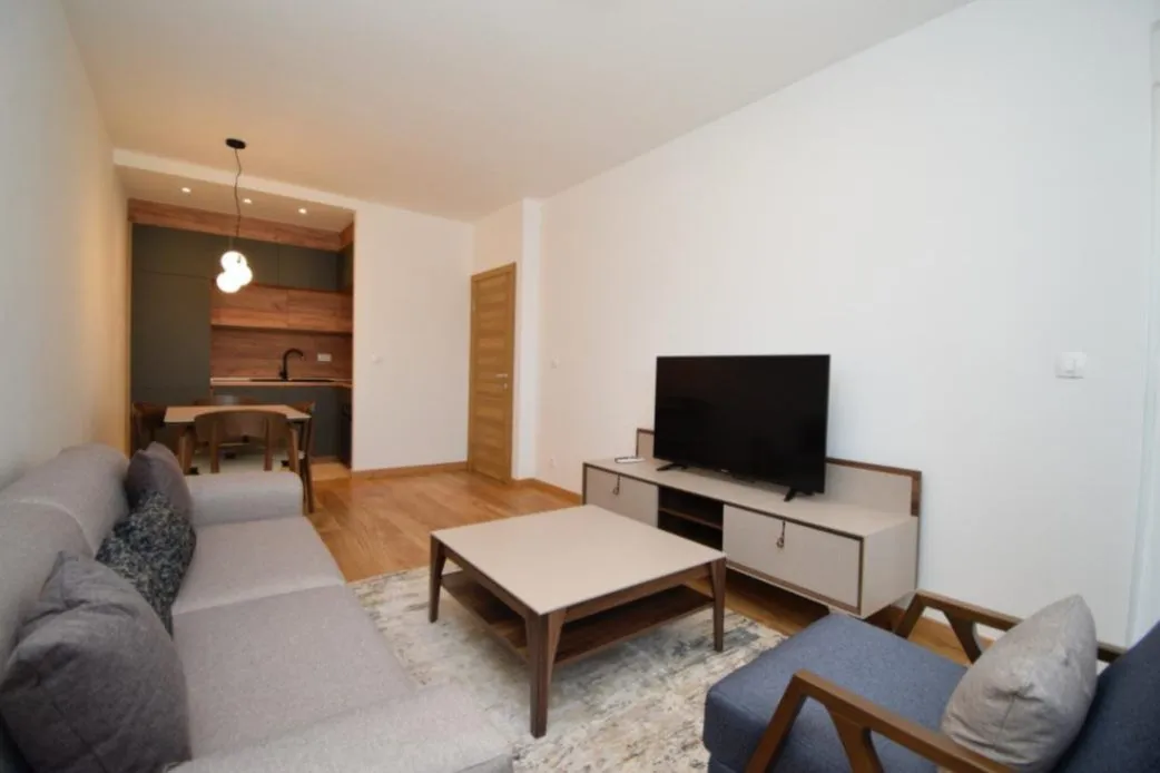 Rent, one bedroom apartment, 49m², Central Point, Podgorica