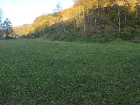 Prodaja, plac, 8325m², Centar, Kolašin - image 2