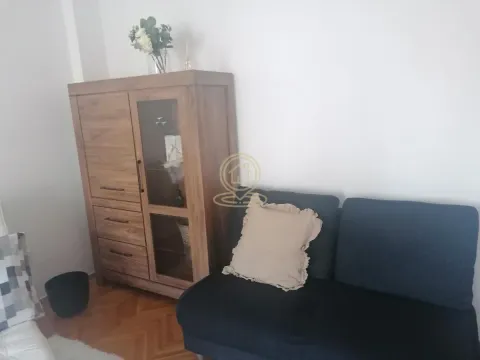 Manji deo dnevnog boravka sa kaučem i drvenom vitrinom. - image 2