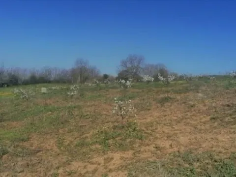 Sale, land lot, 7100m², Umčari, Grocka - image 2