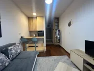 Izdavanje, garsonjera, 25m², Master Kvart, Podgorica - image 4