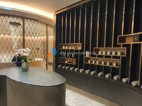 Rent, three bedroom apartment, 90m², Savski Venac, Beograd - image 37