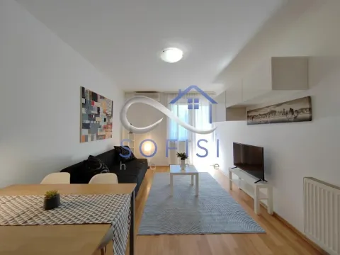 Izdavanje, jednosoban stan, 38m², Centar, Novi Sad - image 3