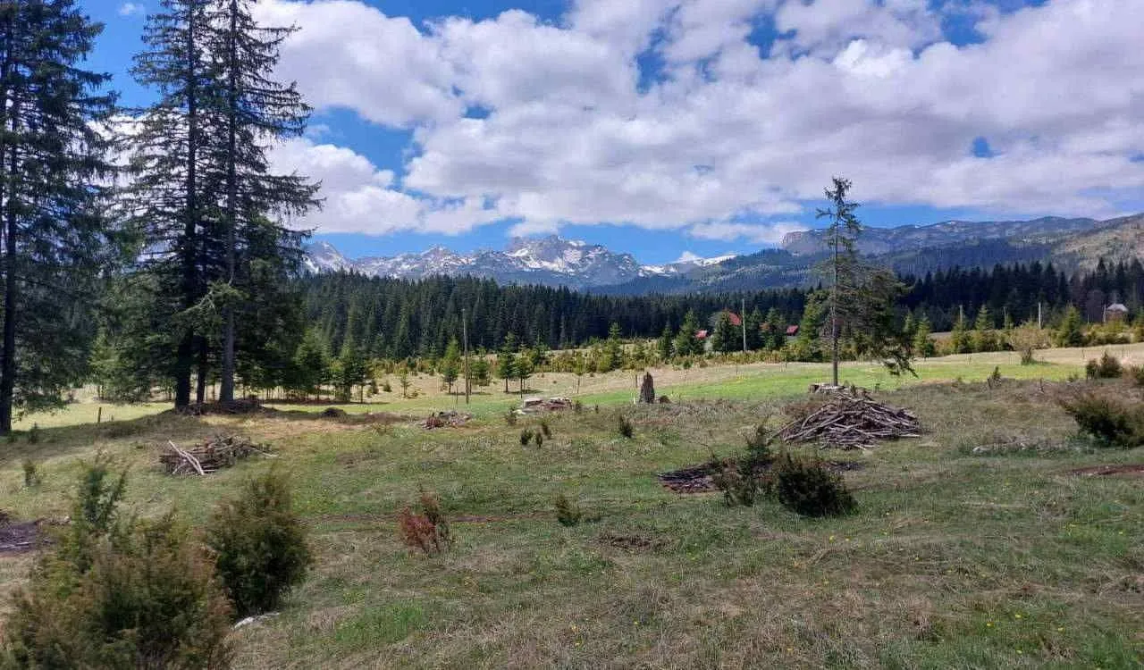 Prodaja, plac, 17500m², Uskoci, Žabljak